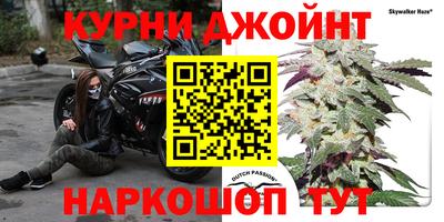 гидропоника Краснодар