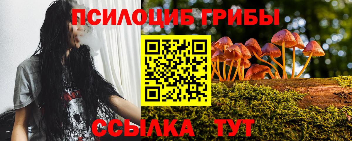 Галлюциногенные грибы Psilocybine cubensis  Вход с VPN  Псилоцибиновые грибы мухоморы  Зерноград 